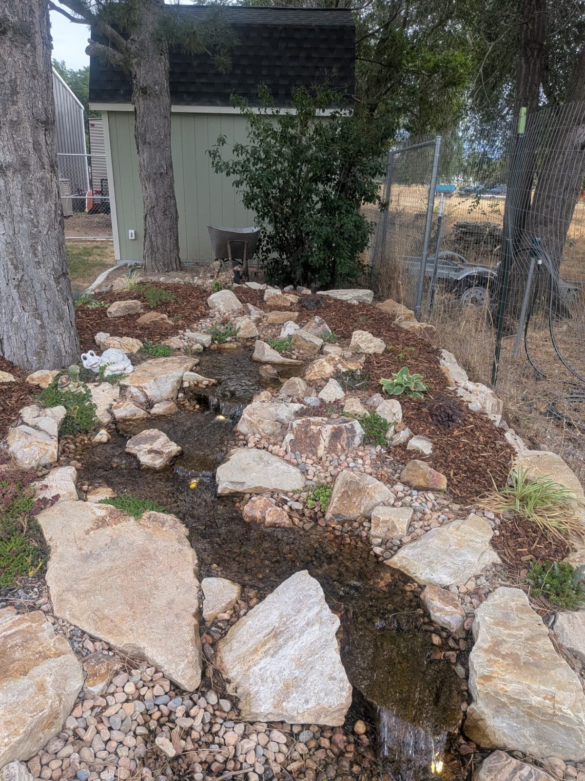 Pondless stream winding under the pines